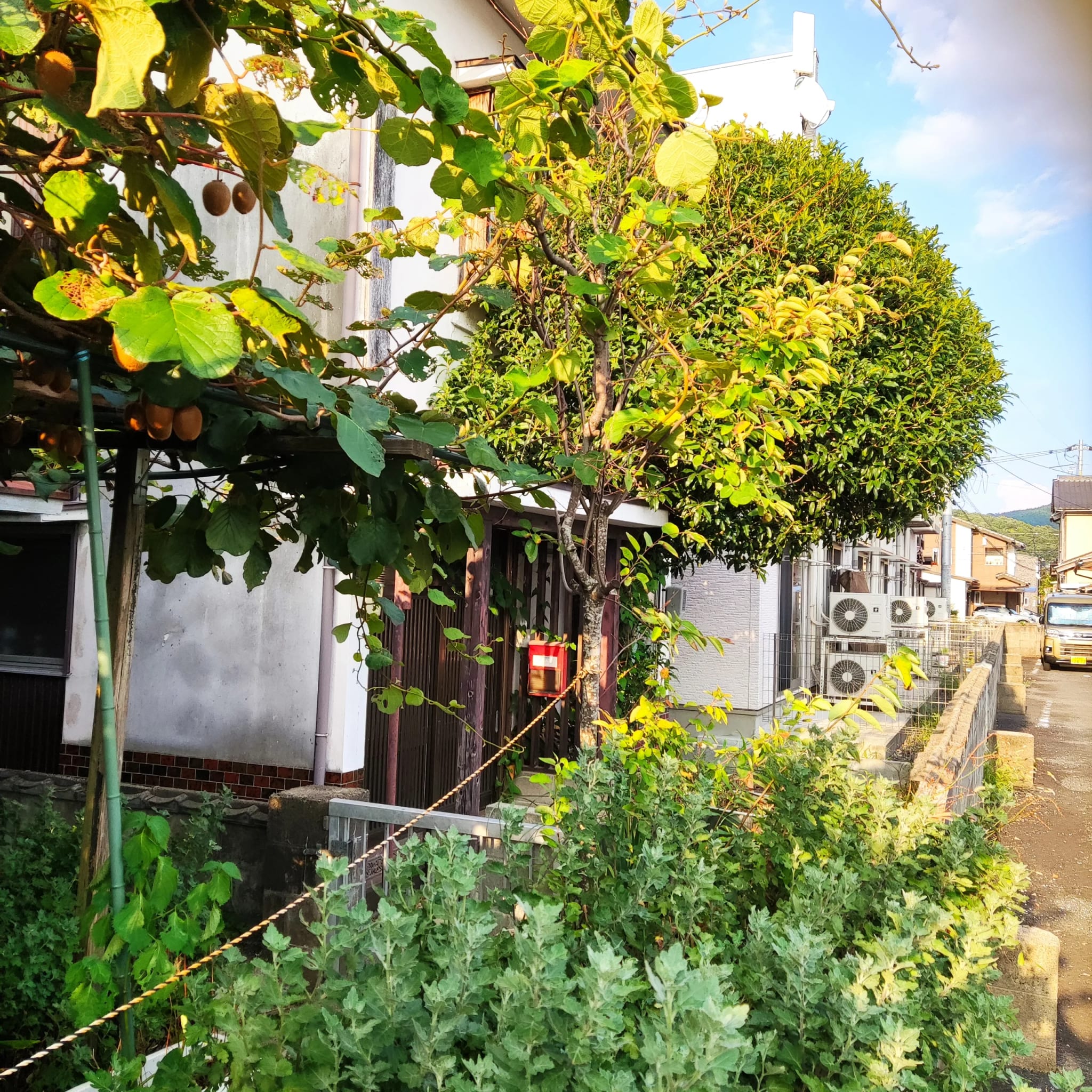 【仲介手数料不要！】鳥取県鳥取市 戸建 画像3