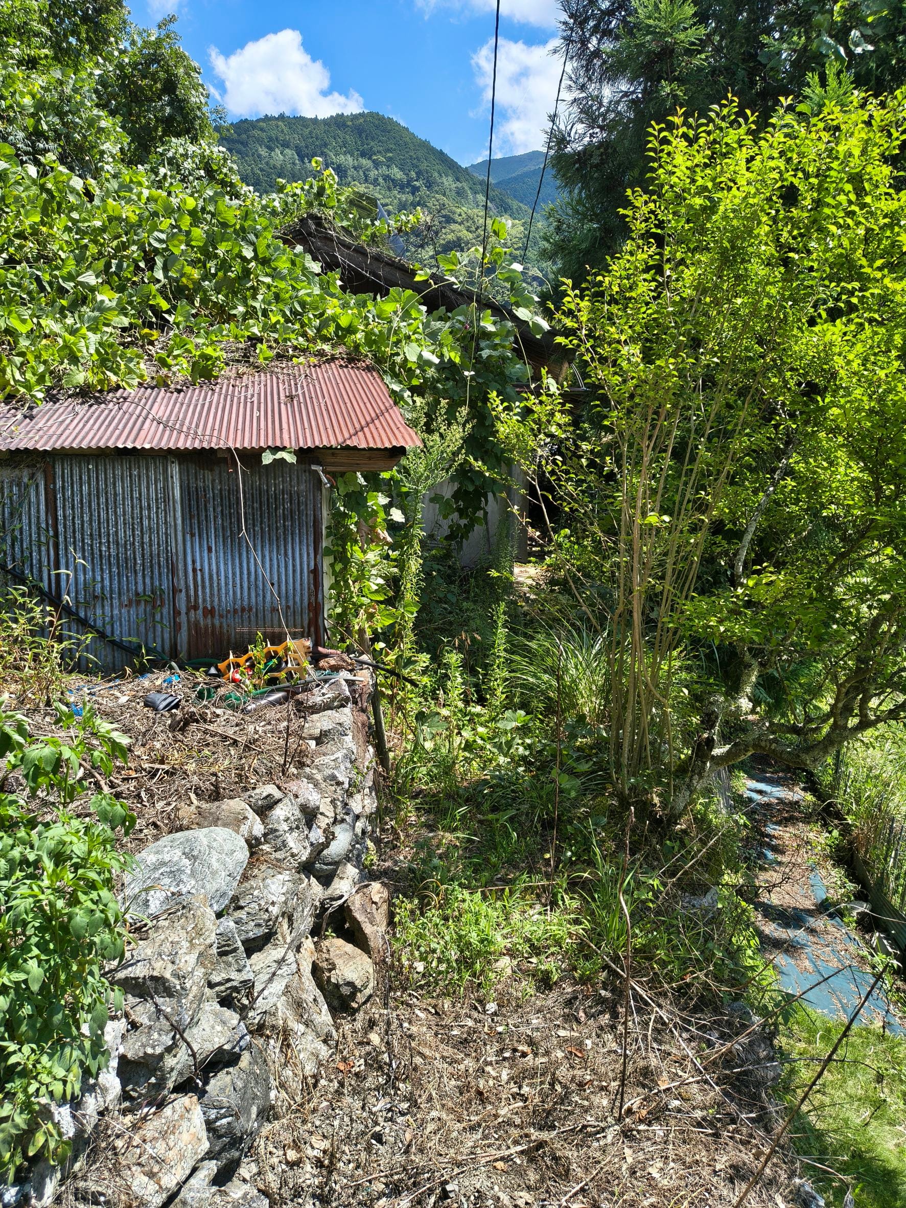 【仲介手数料不要！】愛媛県上浮穴郡 戸建 画像2