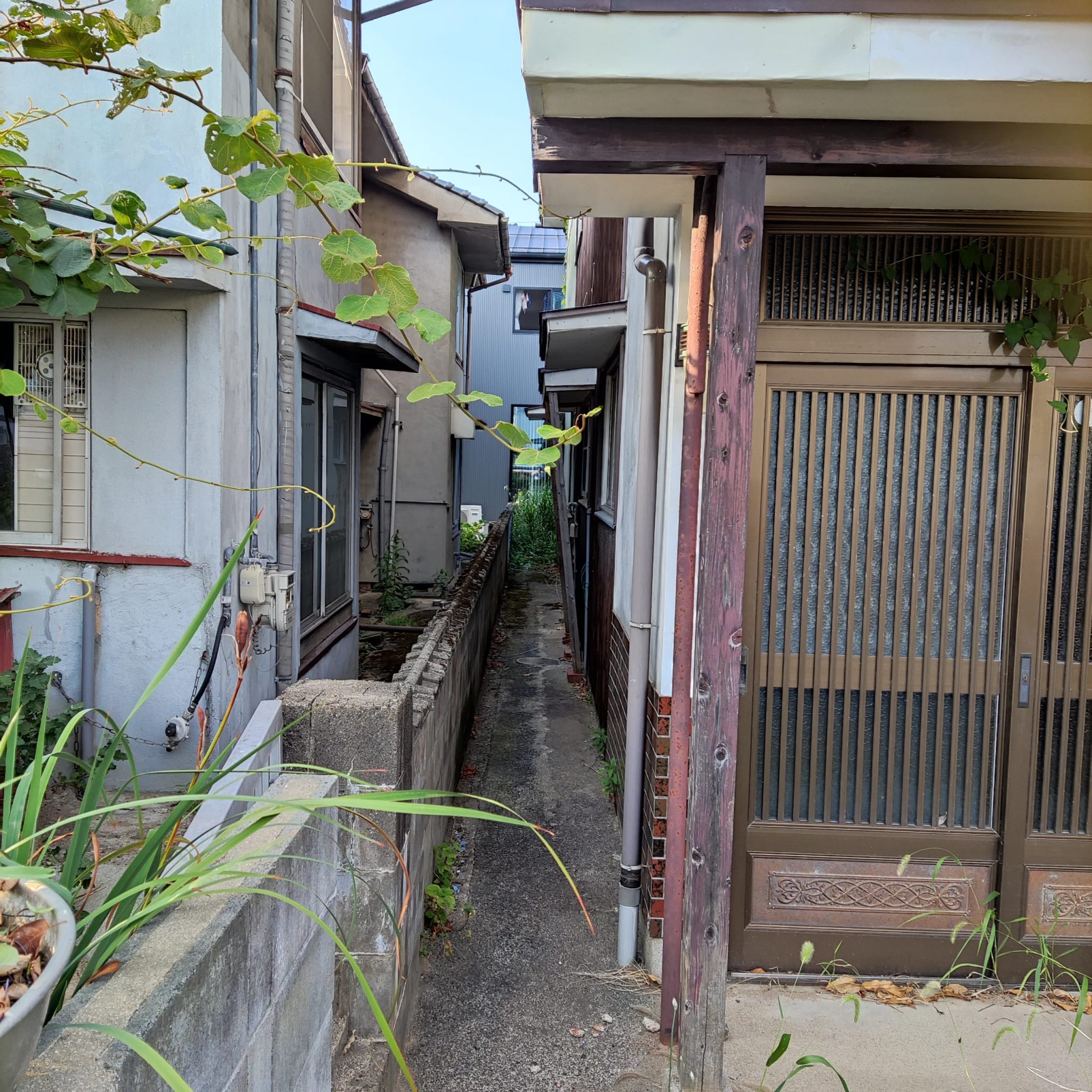 【仲介手数料不要！】鳥取県鳥取市 戸建 画像2